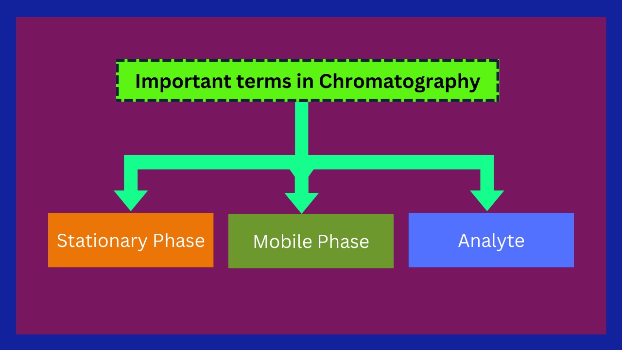 Important terms in chromatography